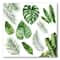 Designart - Tropical Leaf Of Monstera V - Farmhouse Canvas Wall Art Print